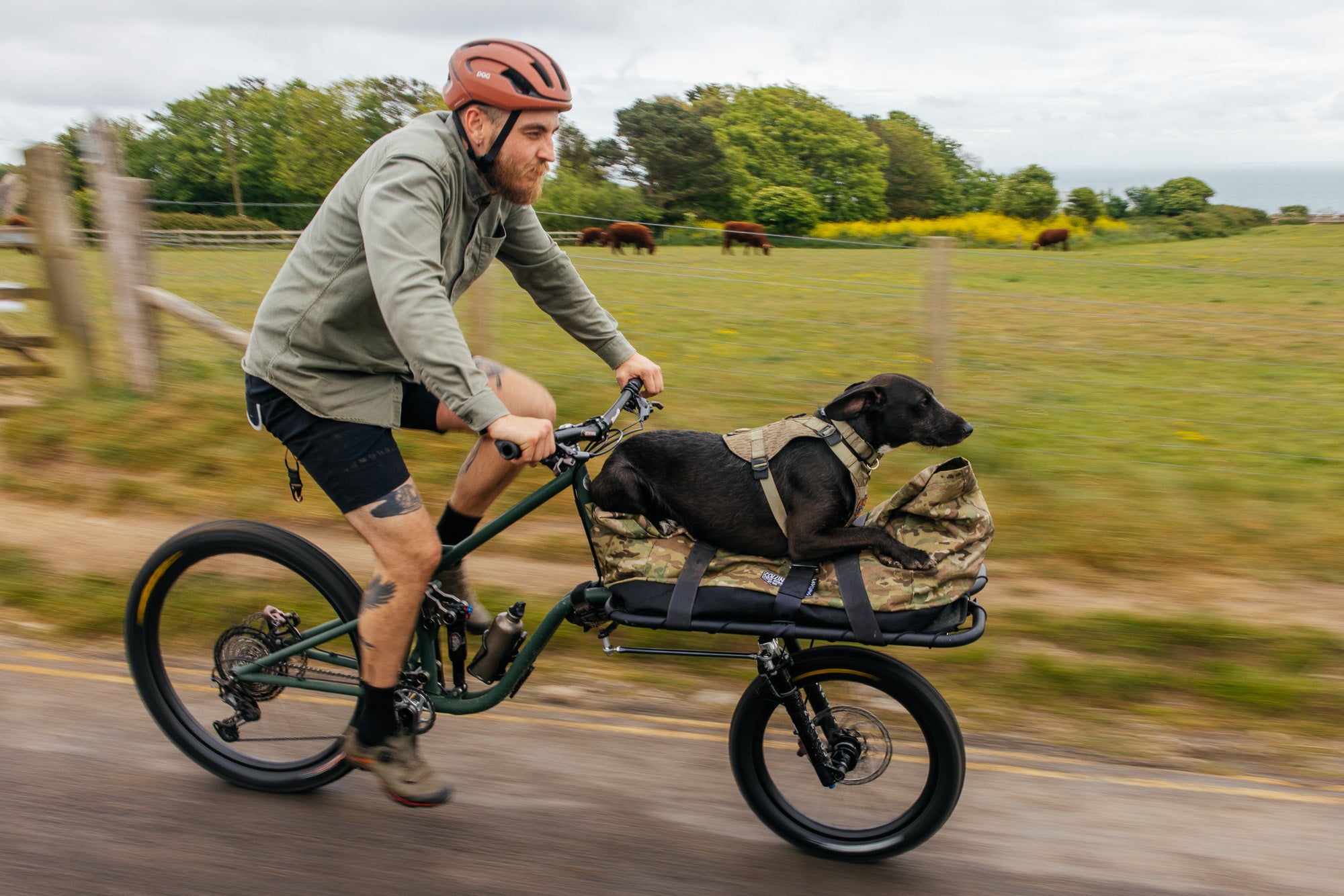 Sentient Steel STEEL BIKES – Sentient Works