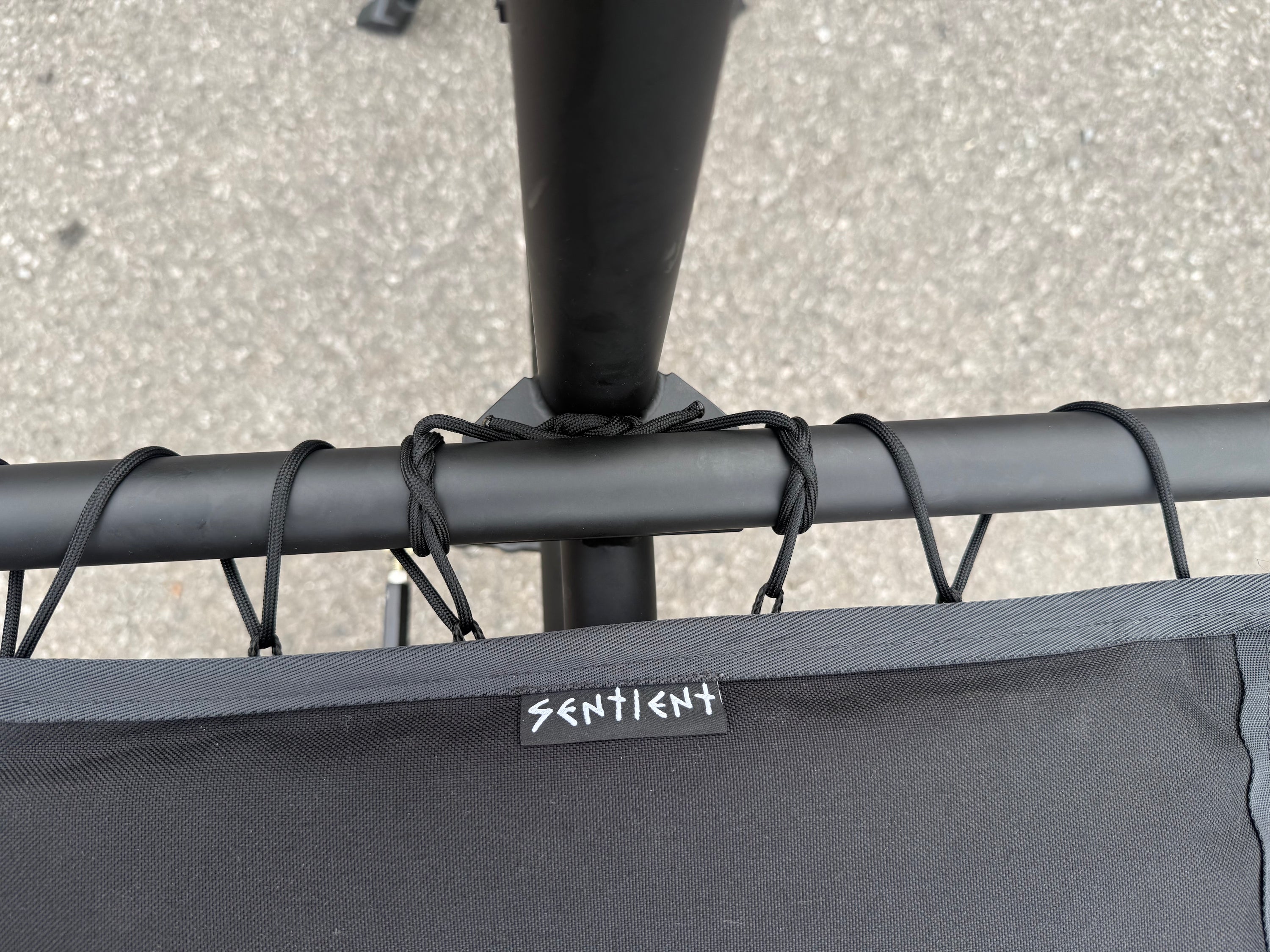 Sentient Cargo Rack Pillow mk4