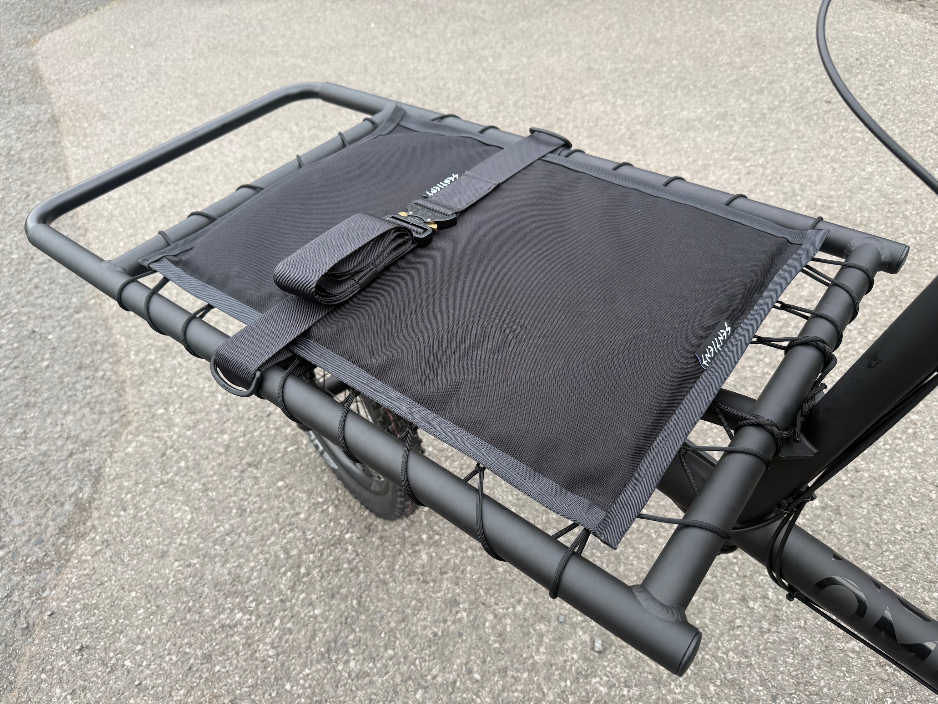 Sentient Cargo Rack Pillow mk4