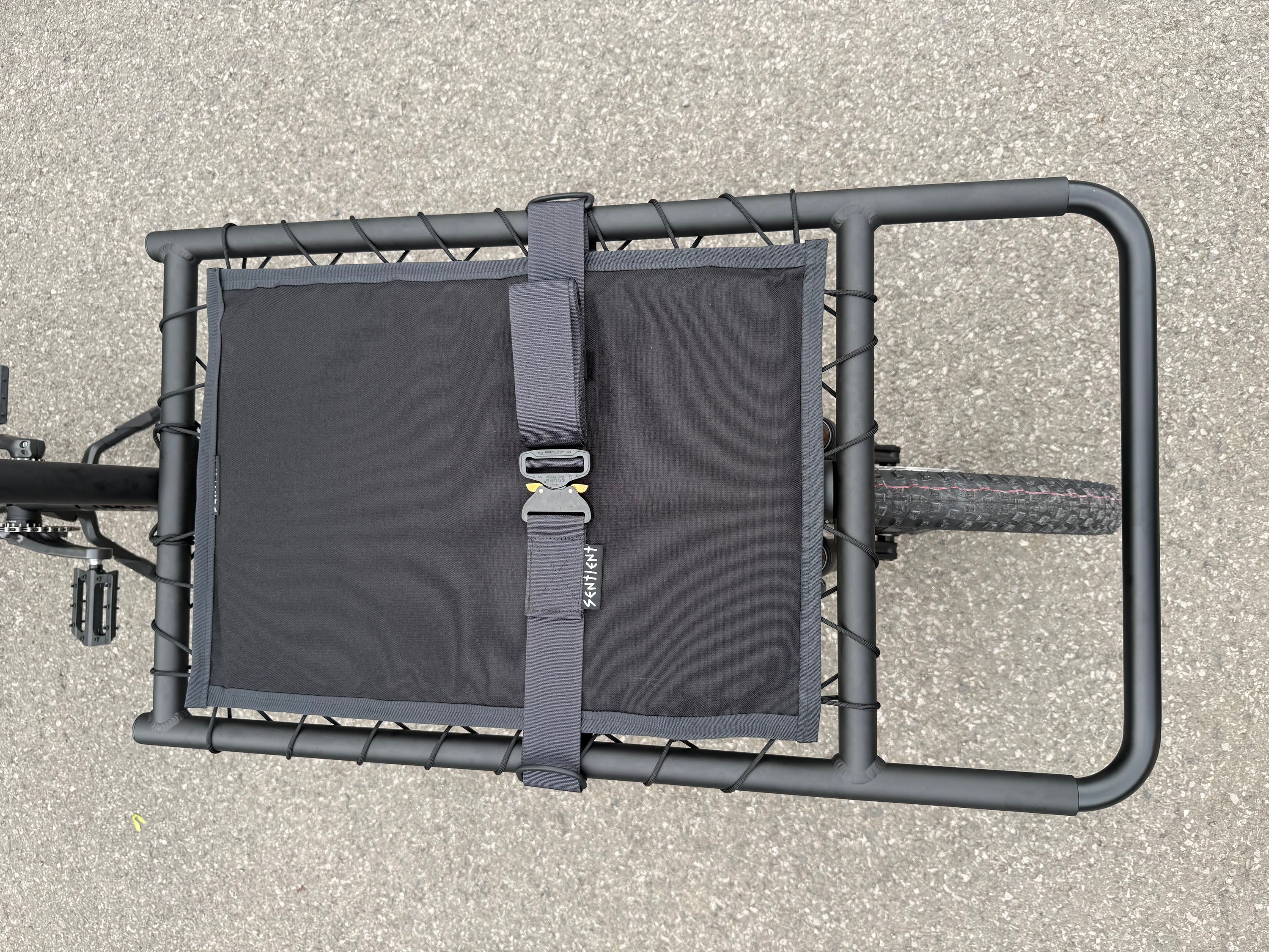 Sentient Cargo Rack Pillow mk4