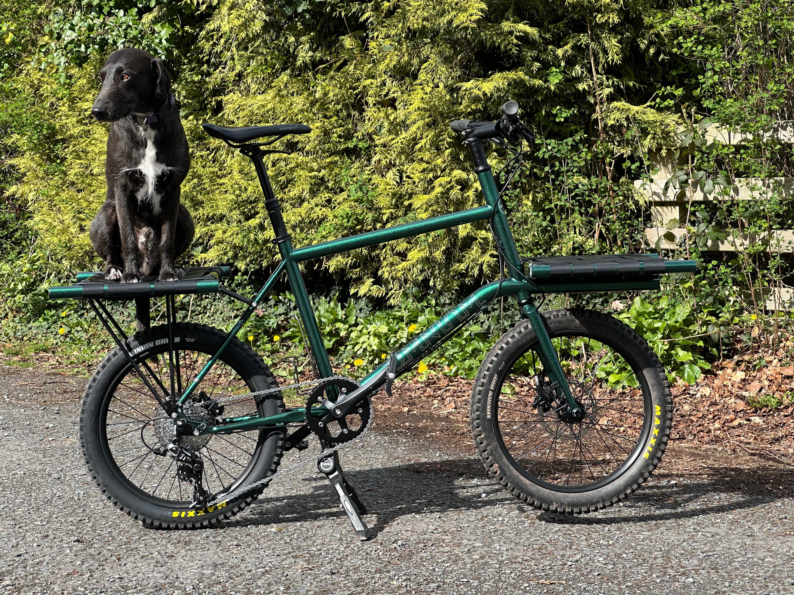 Sentient Racsimile Rear Rack