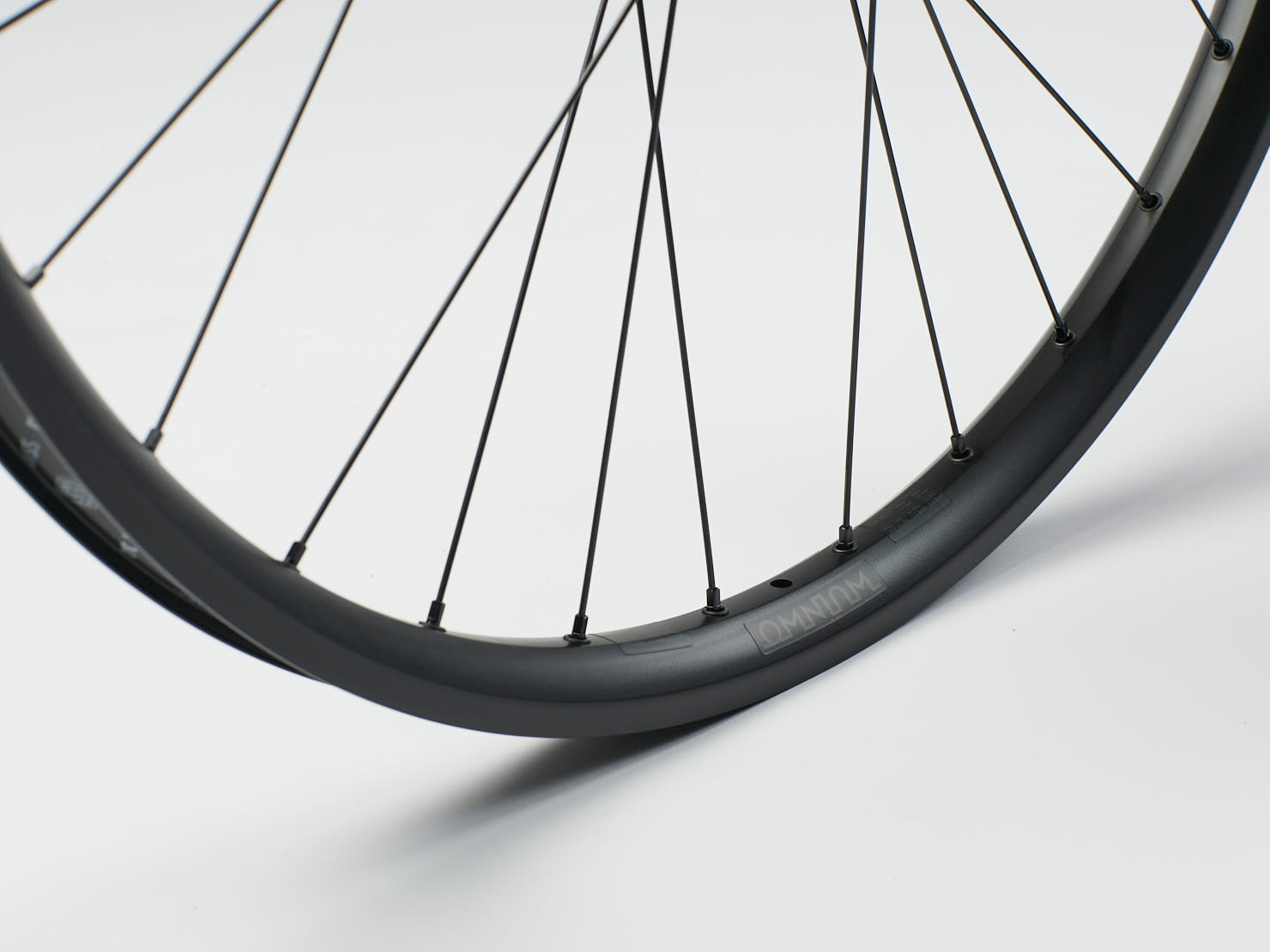 Omnium x DT Swiss Thru Axle Cargo Wheelset