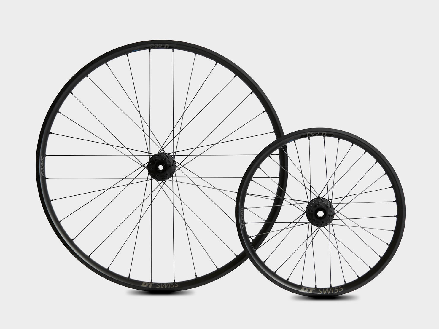 Omnium x DT Swiss Dynamo Cargo Wheelset